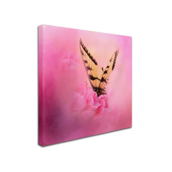 Jai Johnson 'Butterfly On The Azaleas' Canvas Art,18x18